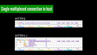 Single multiplexed connection to host 
HTTP/2 
HTTP/1.1 
 