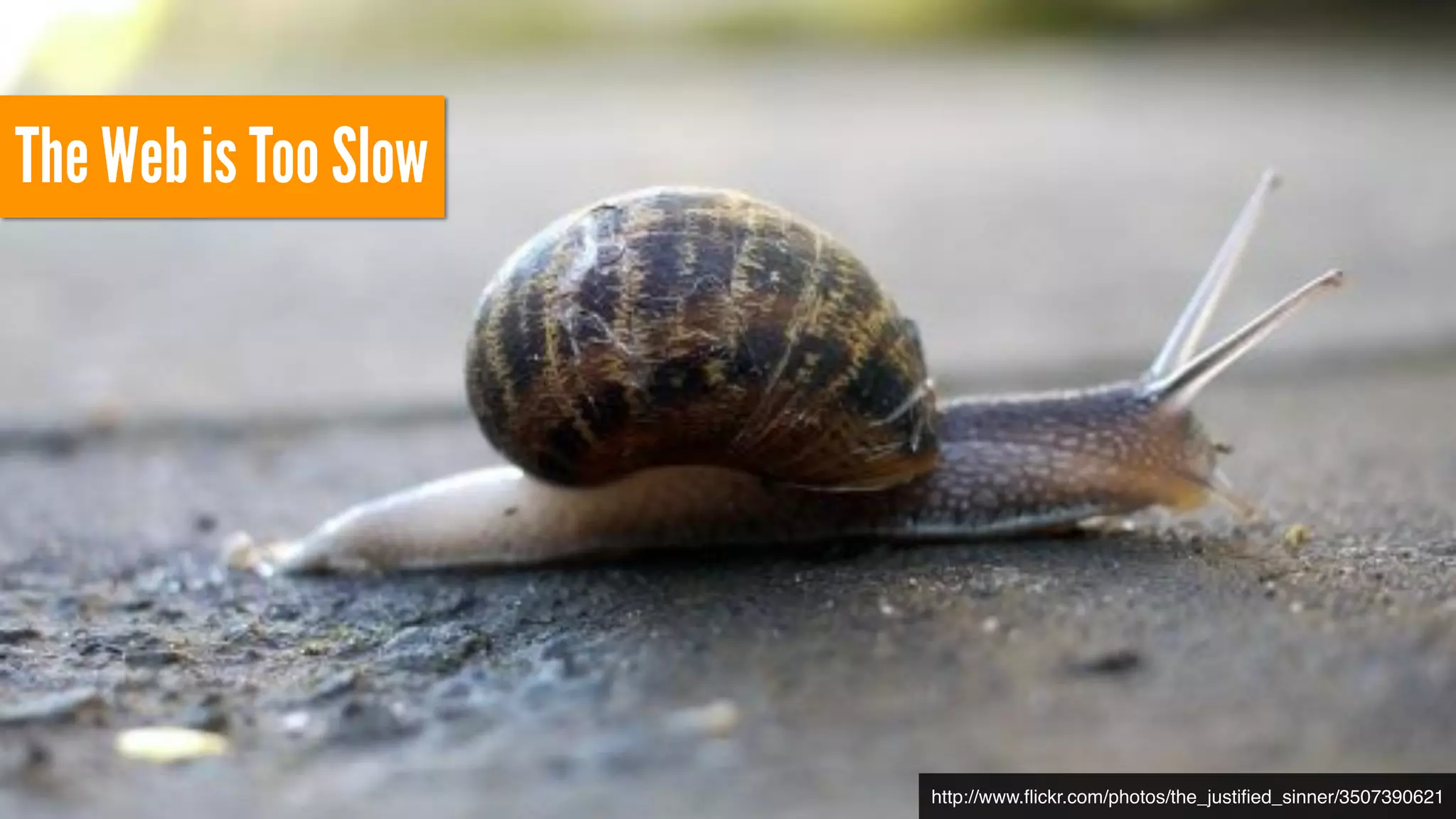 The Web is Too Slow
http://www.ﬂickr.com/photos/the_justiﬁed_sinner/3507390621
 