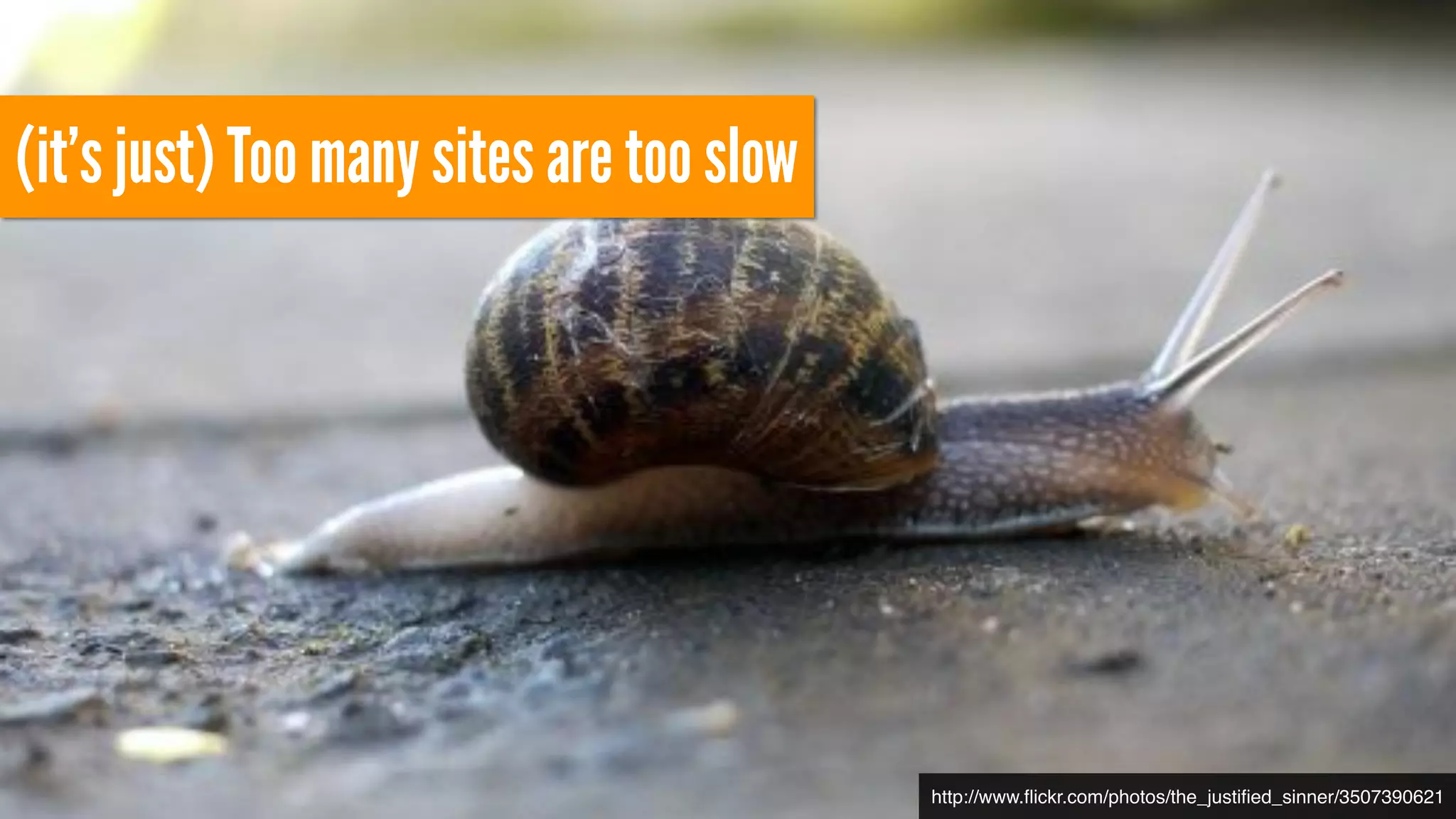 (it’s just) Too many sites are too slow
http://www.ﬂickr.com/photos/the_justiﬁed_sinner/3507390621
 
