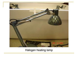 Halogen heating lamp
 
