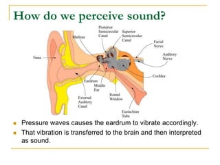 How do we perceive sound?
 Pressure waves causes the eardrum to vibrate accordingly.
 That vibration is transferred to the brain and then interpreted
as sound.
 