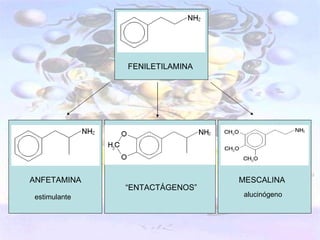 FENILETILAMINA




ANFETAMINA                     MESCALINA
              “ENTACTÁGENOS”
estimulante                    alucinógeno
 