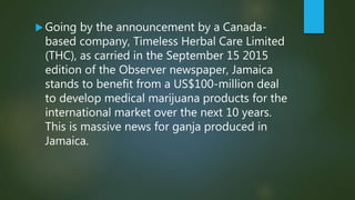 Going by the announcement by a Canada-
based company, Timeless Herbal Care Limited
(THC), as carried in the September 15 2015
edition of the Observer newspaper, Jamaica
stands to benefit from a US$100-million deal
to develop medical marijuana products for the
international market over the next 10 years.
This is massive news for ganja produced in
Jamaica.
 