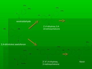 H
O
OCH3
OCH3
veratraldehyde
OH
O
HO
OCH3
OCH3
2',4'-dihydroxy 3,4-
dimethoxychalcone
H
O
OH
OCH3
Vanillin
OH
o
OH
OCH3
HO O
o
O
OCH3
HO
2”,4”,4 trihydroxy,
3 methoxychalcone
flavon
O
OHHO
2,4-dihidroksi asetofenon
 