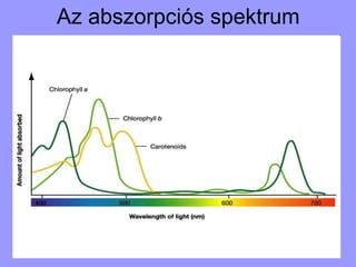 Spektrofotometria és spektrofotométer.ppt