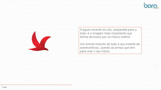 Ícone
A águia mirando do céu, preparada para o
bote, é a imagem mais impactante que
temos da busca por um futuro melhor.
Um animal imbuído de todo o seu instinto de
sobrevivência, usando as armas que tem
para criar o seu futuro.
 