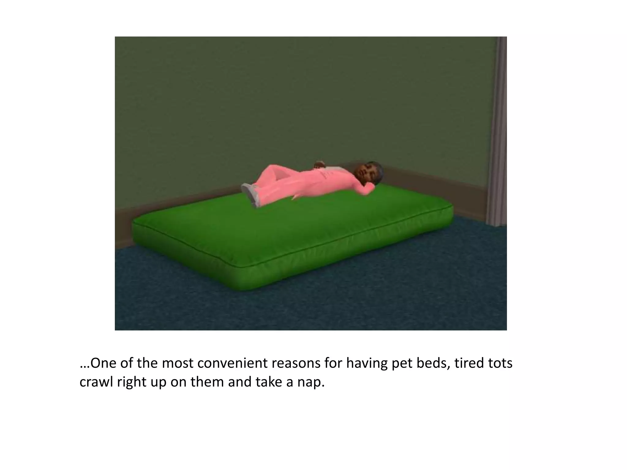 …One of the most convenient reasons for having pet beds, tired tots crawl right up on them and take a nap.