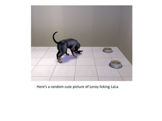 Here’s a random cute picture of Leroy licking LaLa.