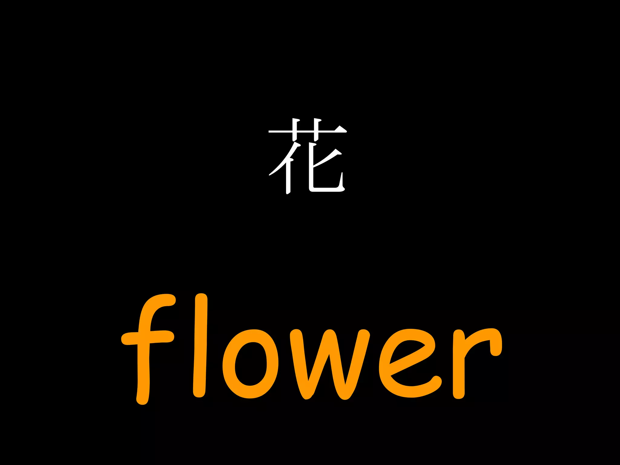 花 flower 
