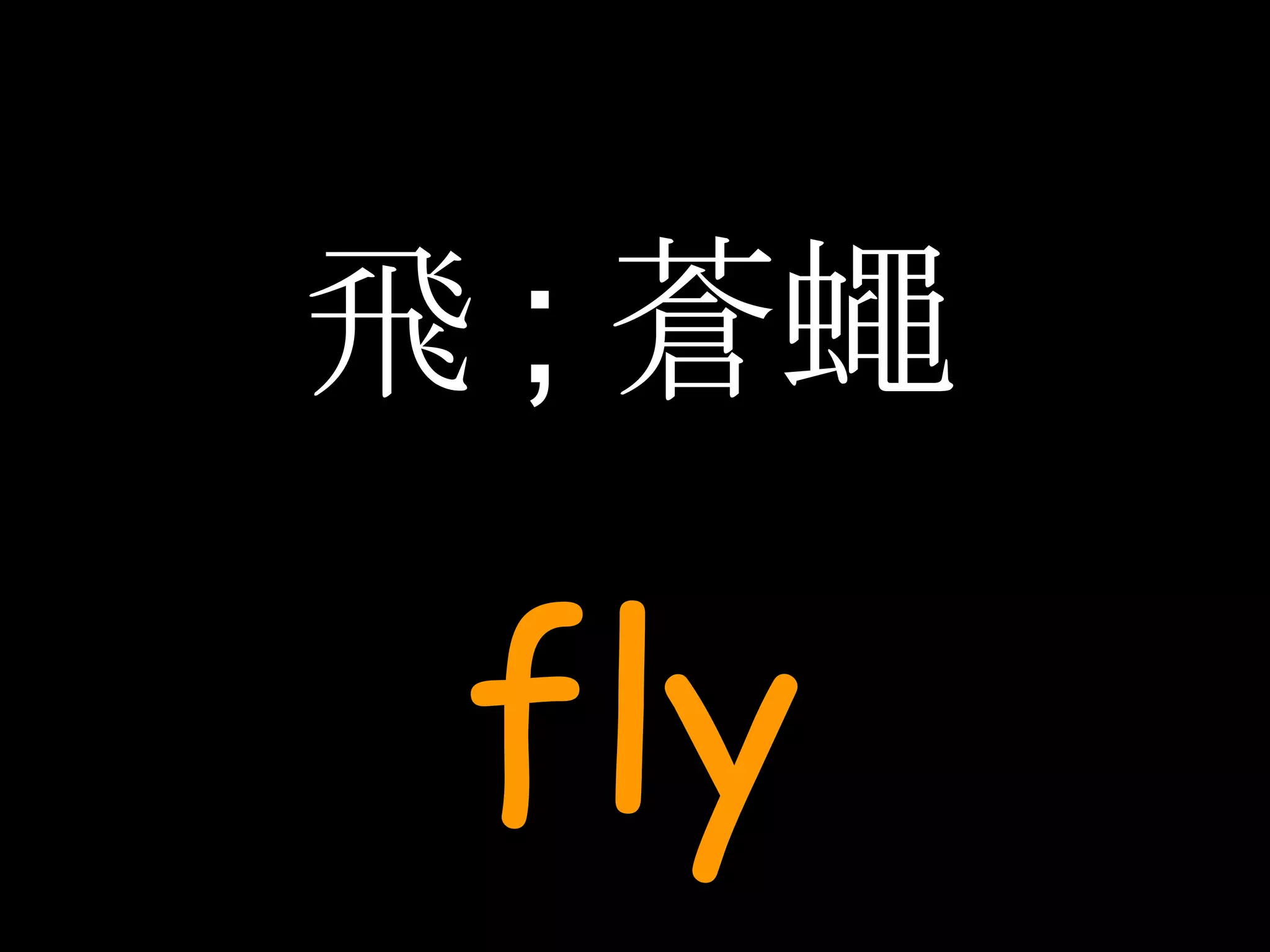 飛 ; 蒼蠅 fly 