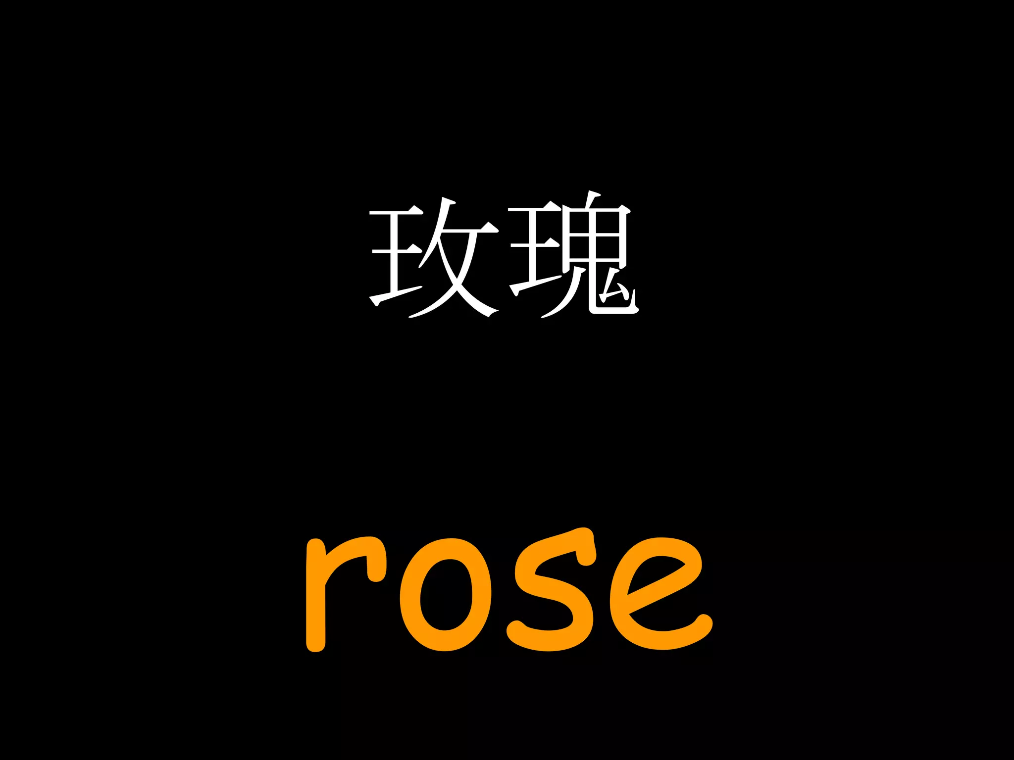玫瑰 rose 