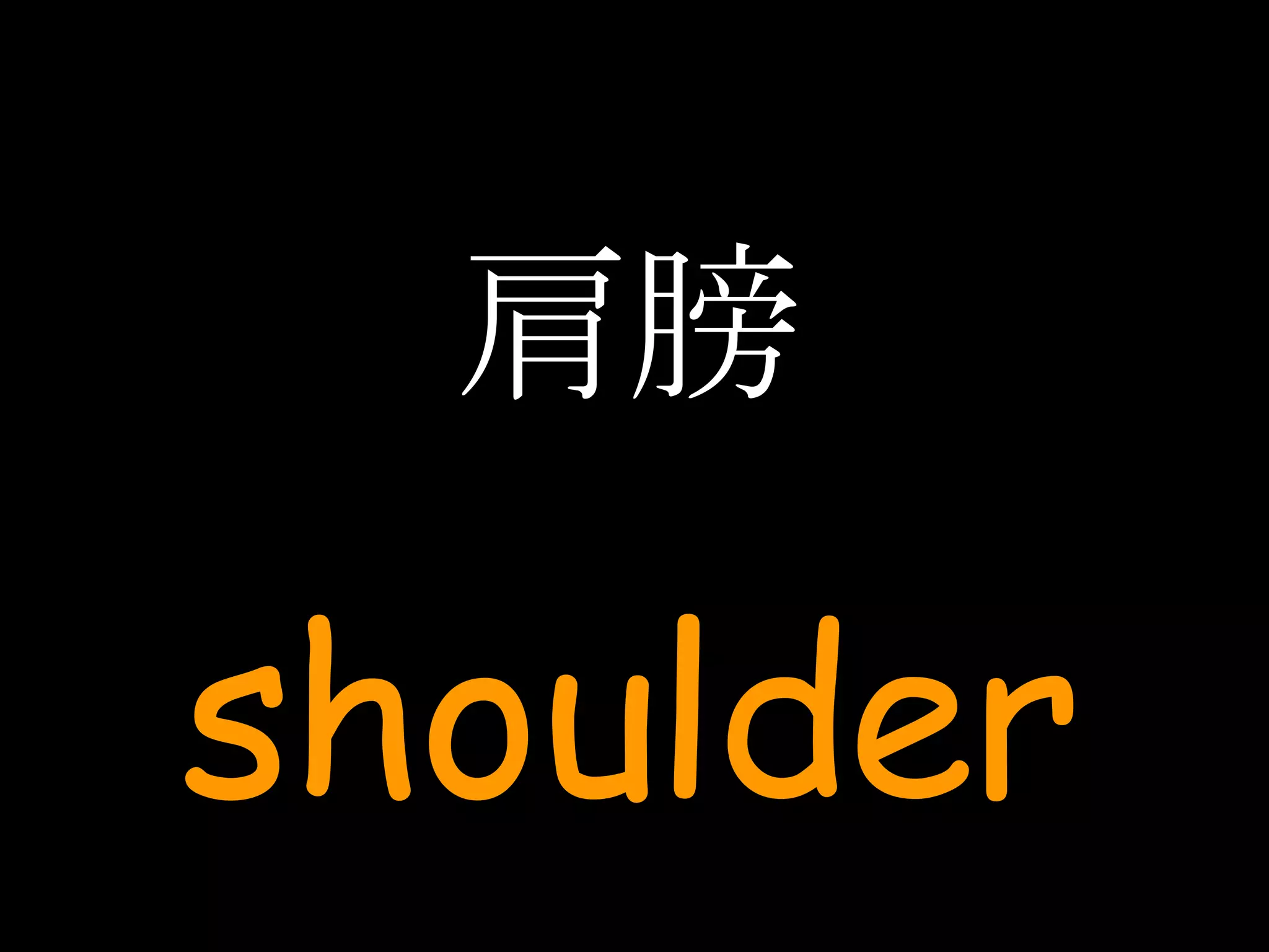 肩膀 shoulder 