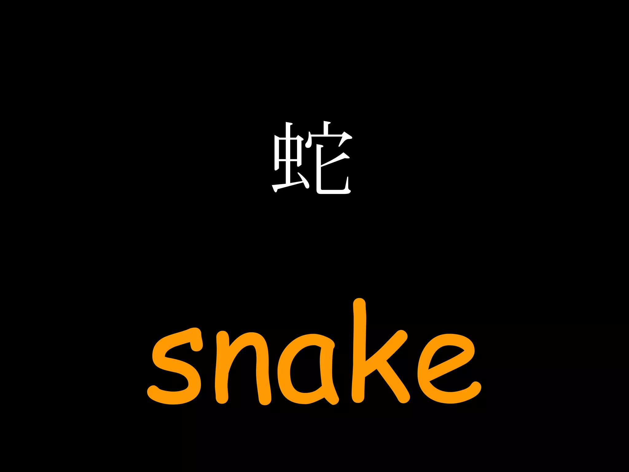 蛇 snake 