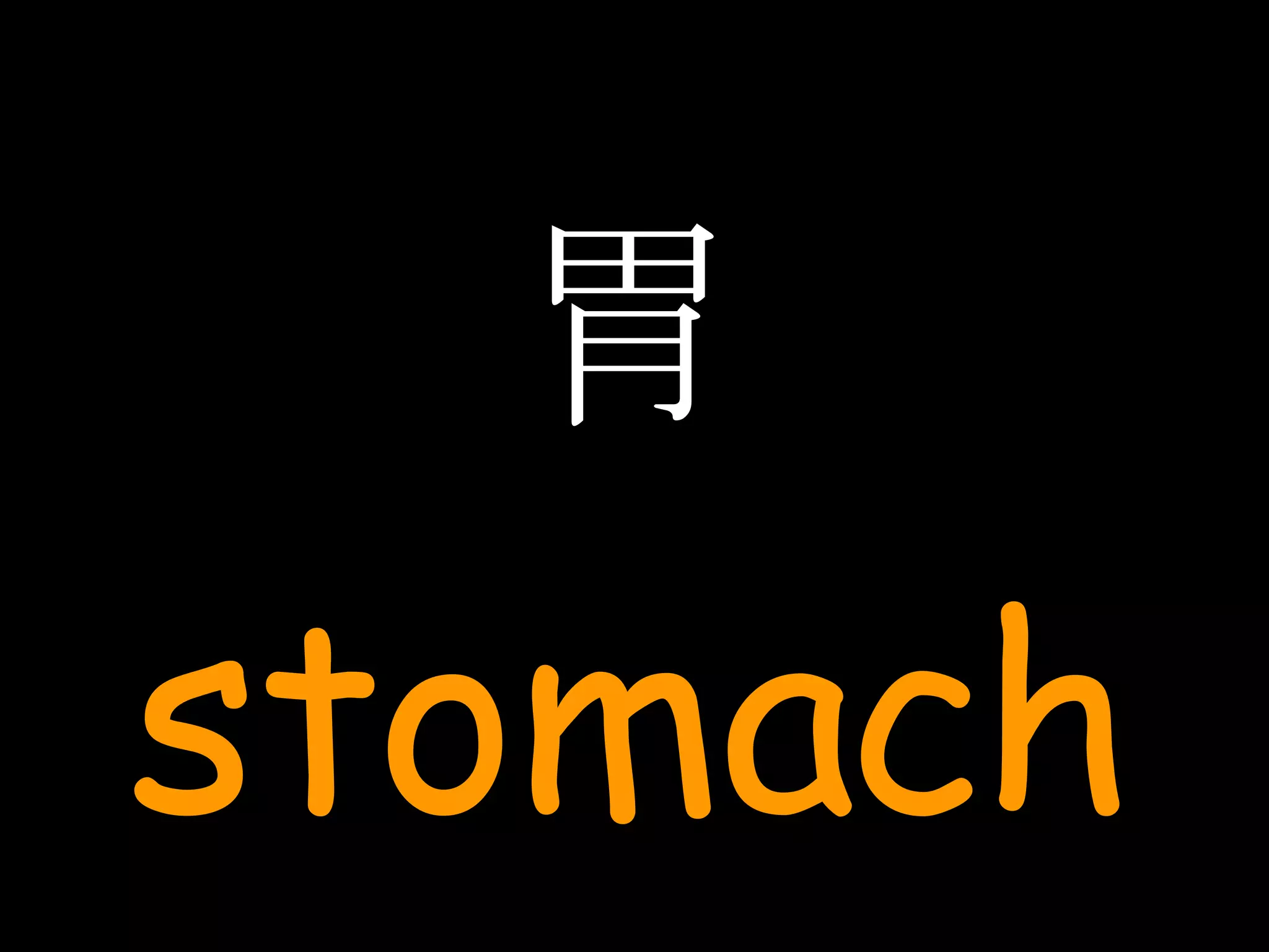 胃 stomach 