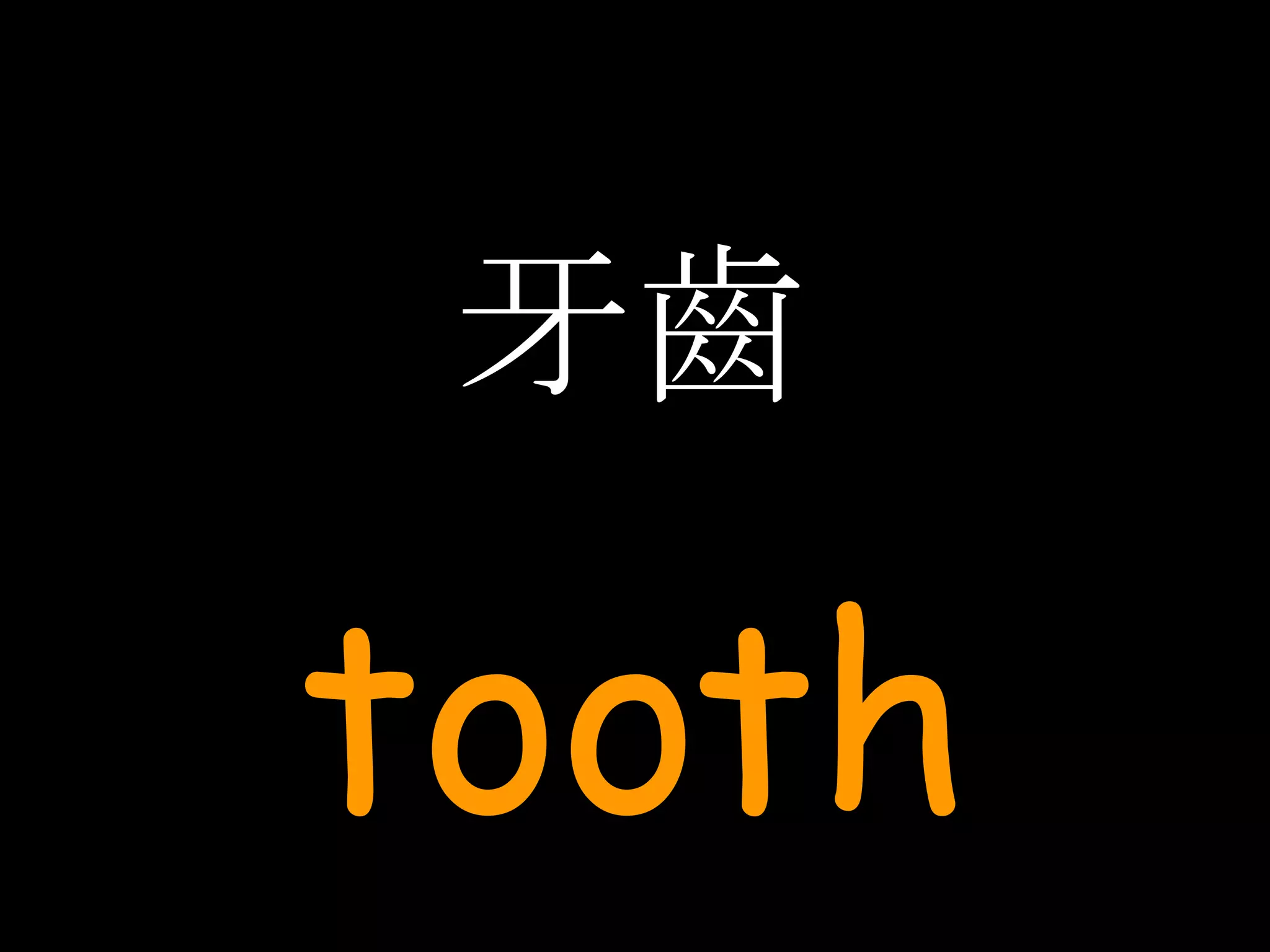 牙齒 tooth 