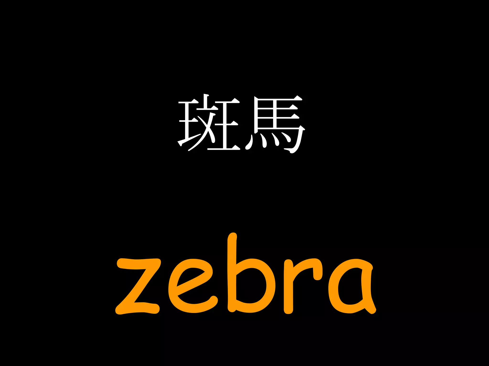 斑馬 zebra 