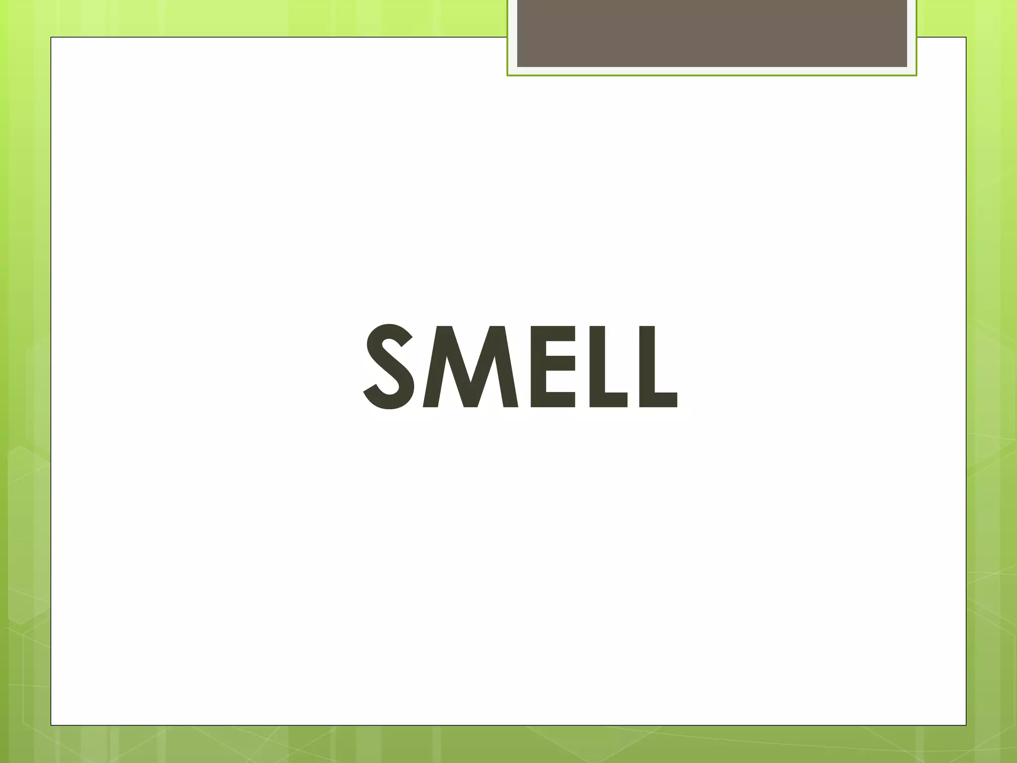 SMELL 
 