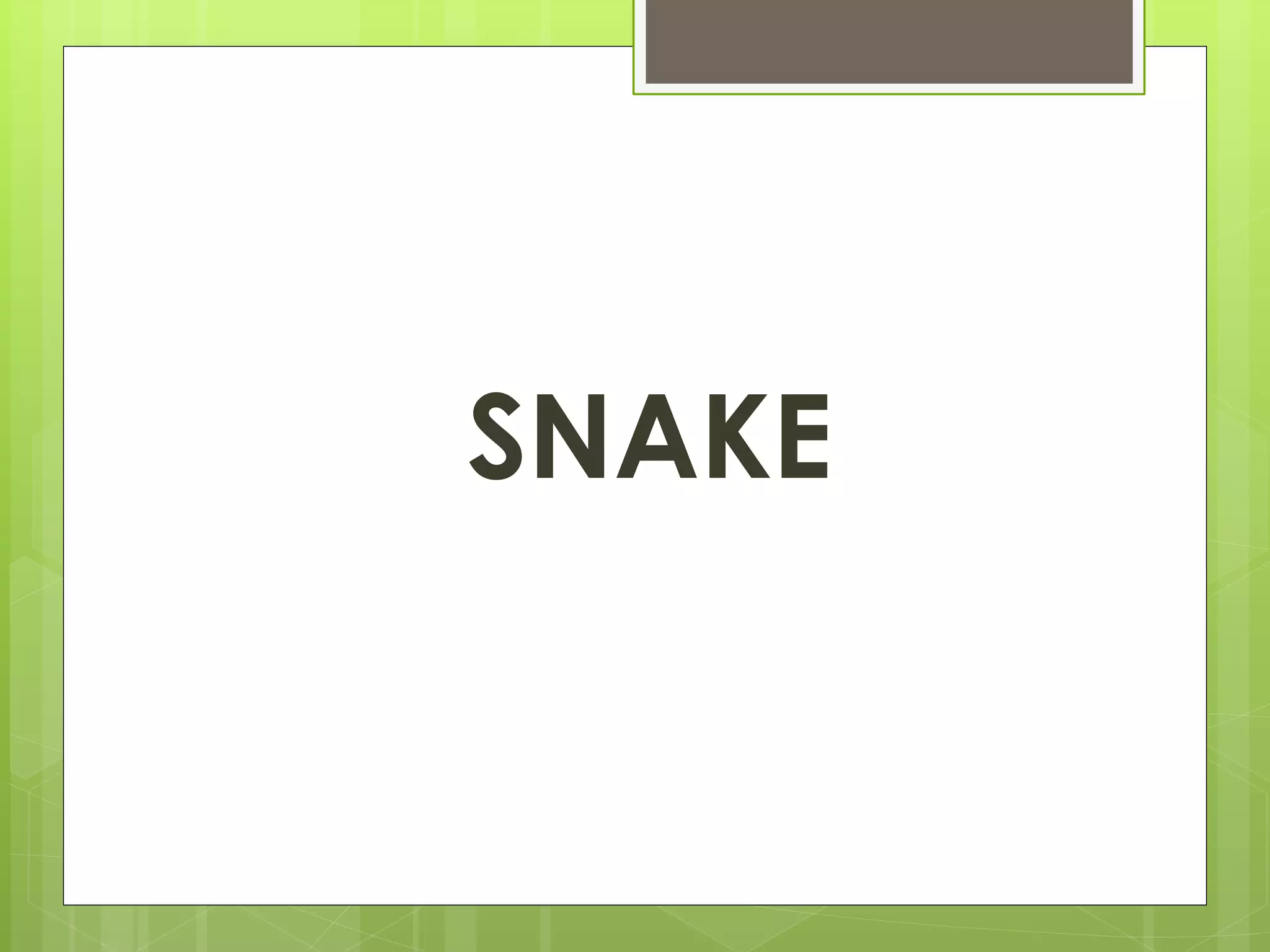SNAKE 
 