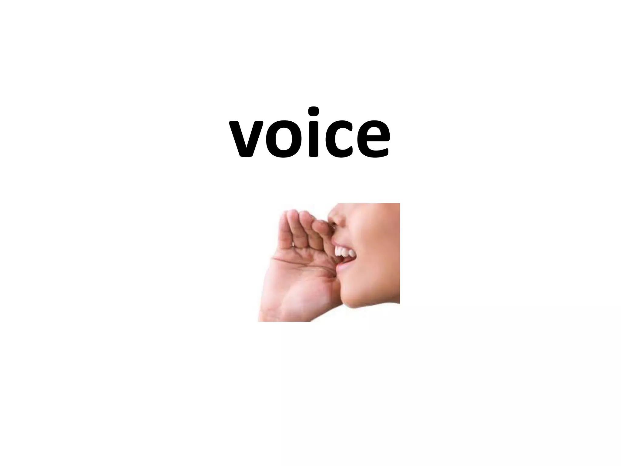voice