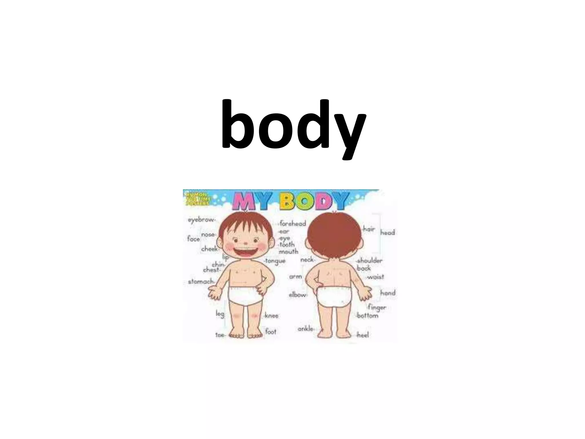 body