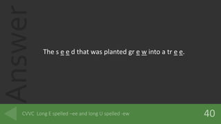 Answer
The s e e d that was planted gr e w into a tr e e.
 