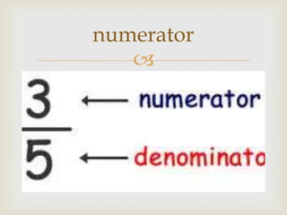 numerator
   
 