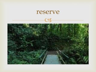 reserve
   
 
