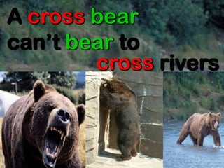 A cross bear
can’t bear to
cross rivers
A cross bear
can’t bear to
cross rivers
A cross bear
can’t bear to
cross rivers
A cross bear
can’t bear to
cross rivers
A cross bear
can’t bear to
cross rivers
 