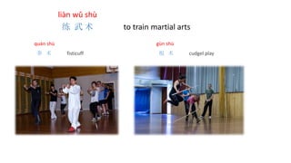 liàn wǔ shù
练 武 术 to train martial arts
quán shù
拳 术 fisticuff
gùn shù
棍 术 cudgel play
 