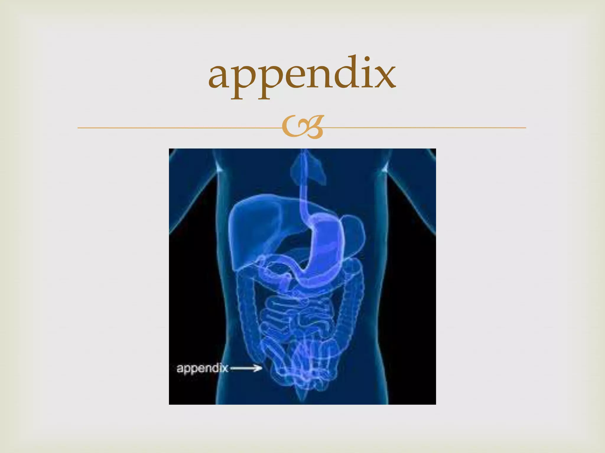 appendix
   
 