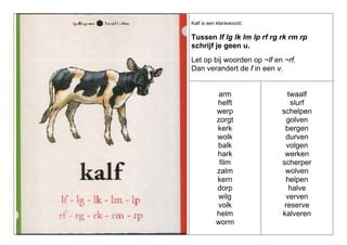 Kalf is een klankwoord:

Tussen lf lg lk lm lp rf rg rk rm rp
schrijf je geen u.
Let op bij woorden op ~lf en ~rf.
Dan verandert de f in een v.

arm
helft
werp
zorgt
kerk
wolk
balk
hark
film
zalm
kern
dorp
wilg
volk
helm
worm

twaalf
slurf
schelpen
golven
bergen
durven
volgen
werken
scherper
wolven
helpen
halve
verven
reserve
kalveren

 