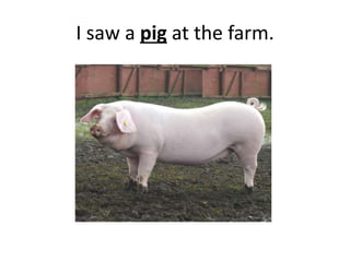 I saw a pig at the farm.
 