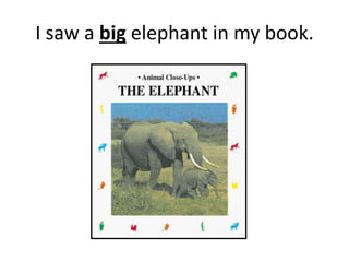 I saw a big elephant in my book.
 