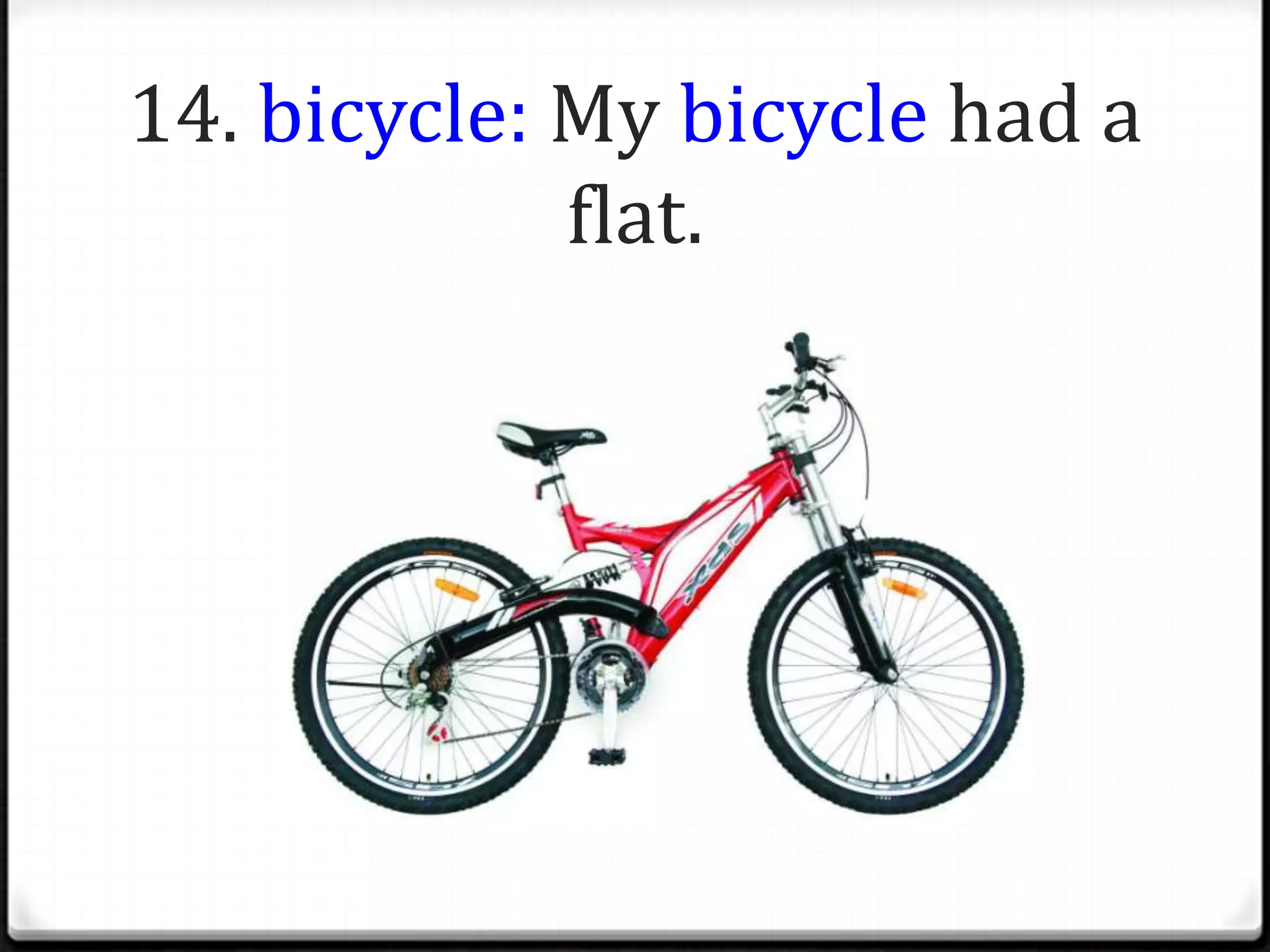 14. bicycle: My bicycle had a
             flat.
 