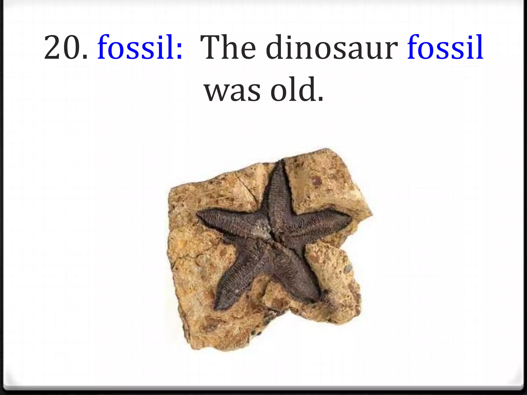 20. fossil: The dinosaur fossil
            was old.
 