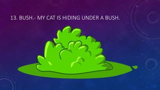 13. BUSH.- MY CAT IS HIDING UNDER A BUSH.
 