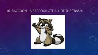 16. RACCOON.- A RACCOON ATE ALL OF THE TRASH.
 