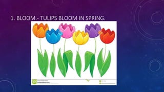 1. BLOOM.- TULIPS BLOOM IN SPRING.
 