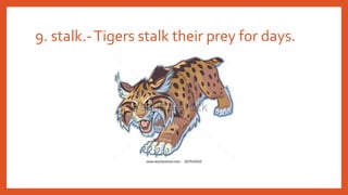 9. stalk.-Tigers stalk their prey for days.
 