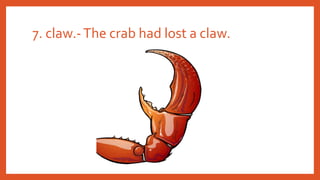 7. claw.-The crab had lost a claw.
 
