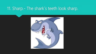 11. Sharp.- The shark´s teeth look sharp.
 
