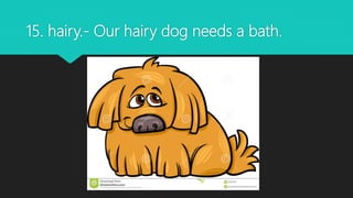 15. hairy.- Our hairy dog needs a bath.
 