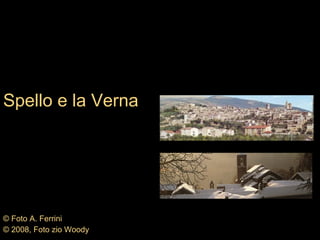 Spello e la Verna © Foto A. Ferrini © 2008, Foto zio Woody 