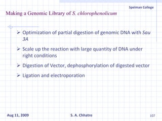 Making a Genomic Library of  S. chlorophenolicum Optimization of partial digestion of genomic DNA with  Sau 3A Scale up the reaction with large quantity of DNA under right conditions Digestion of Vector, dephosphorylation of digested vector Ligation and electroporation 