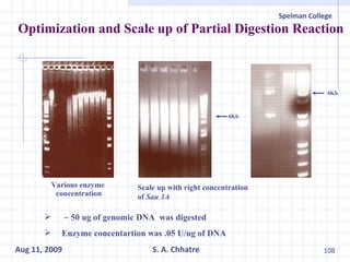 Optimization and Scale up of Partial Digestion Reaction 4Kb ~ 50 ug of genomic DNA  was digested  Enzyme concentartion was .05 U/ug of DNA Various enzyme  concentration Scale up with right concentration of  Sau 3A 4Kb 