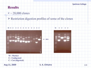 Results ~ 28,000 clones Restriction digestion profiles of some of the clones 4Kb M  U  C  U  C  U  C  U  C  U  C  U  C M  U  C  U  C M : Marker U : Undigested C : Cut (digested) 
