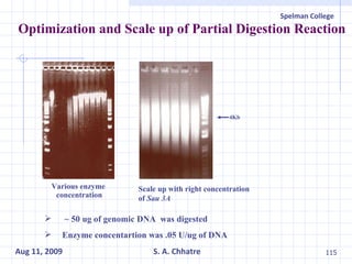 Optimization and Scale up of Partial Digestion Reaction 4Kb ~ 50 ug of genomic DNA  was digested  Enzyme concentartion was .05 U/ug of DNA Various enzyme  concentration Scale up with right concentration of  Sau 3A 