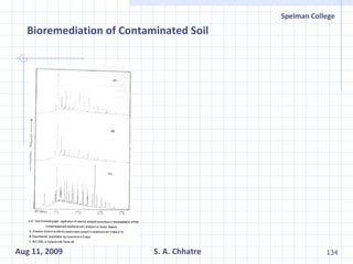 Bioremediation of Contaminated Soil   
