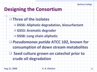 Designing the Consortium Three of the isolates DSS6: Aliphatic degradation, biosurfactant GSS3: Aromatic degrader DSS8: Long chain aliphatic Pseudomonas putida  ATCC 102, known for consumption of down stream metabolites Seed culture grown on catechol prior to crude oil degradation 