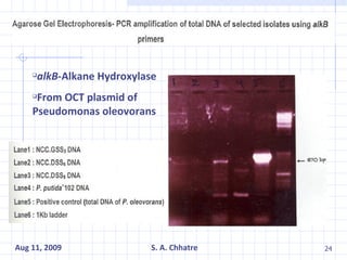 alkB -Alkane Hydroxylase From OCT plasmid of Pseudomonas oleovorans 